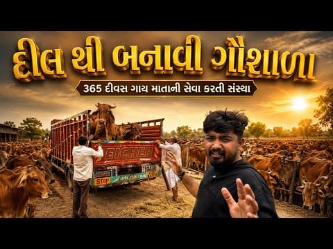 દીલ થી બનાવી સેવાકીય ગૌશાળા । seva from heart & soul | radhe roti seva foundation