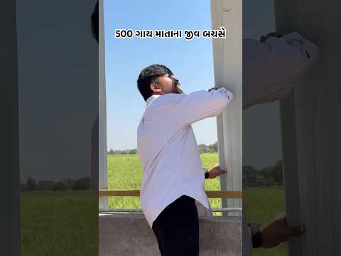 500 ગાય ના જીવ બચસે